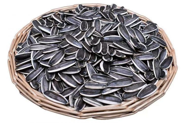 Sunflower Seed Market Update
